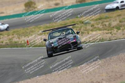 media/May-03-2025-Lucky Dog Racing (Sat) [[206de64b9d]]/Turn 2 (1020am-1120am)/